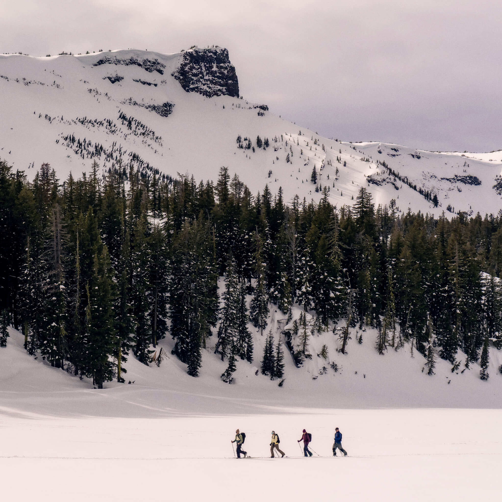 Four adults traveling through the Back Country on their skis.