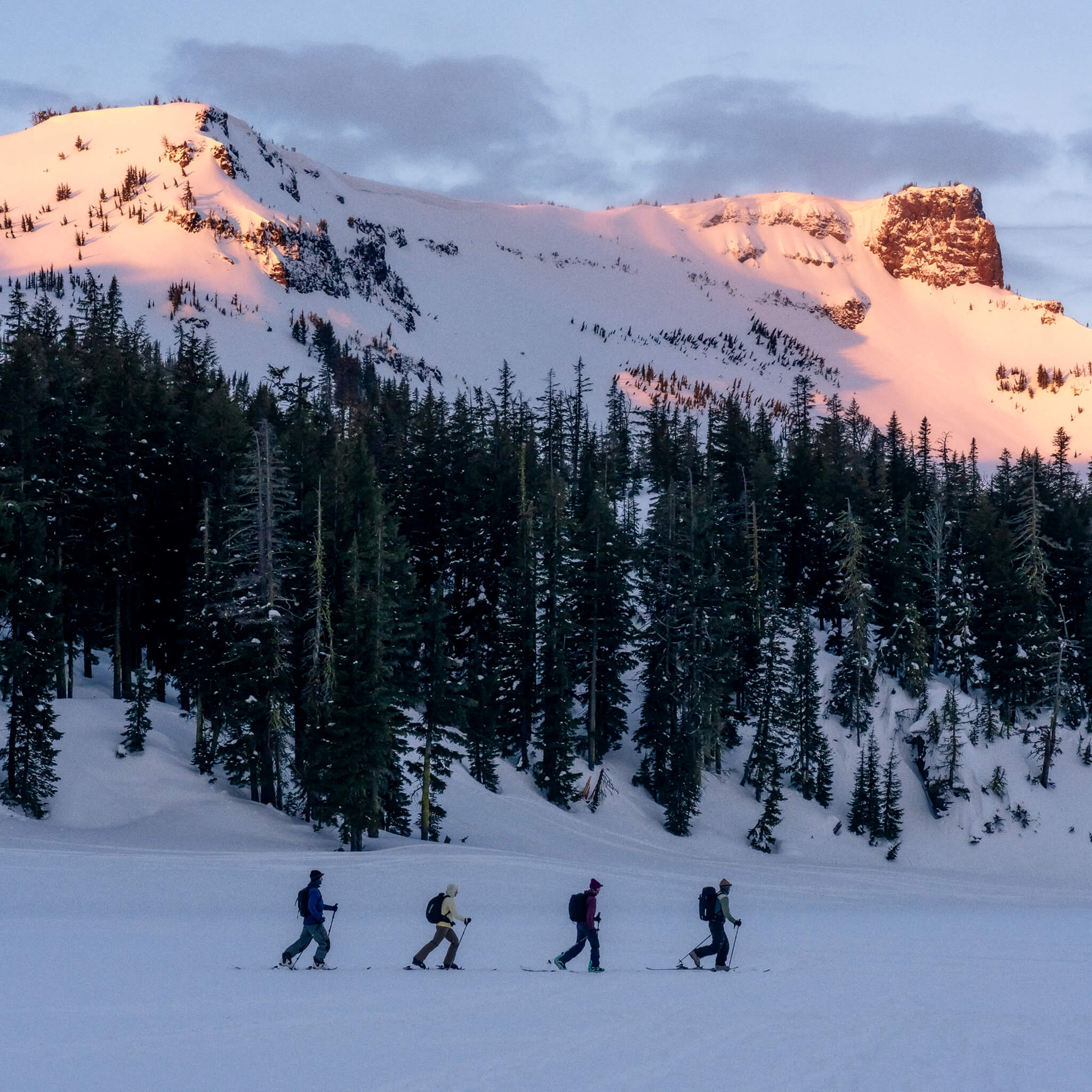 Four Adults cross country skiing their way through the backcountry