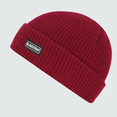 Classic Beanie BlackStrap Berry #color_berry